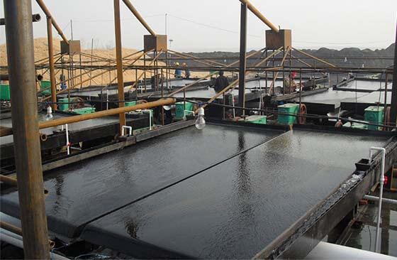 shaking tables in the mineral processing plant.jpg